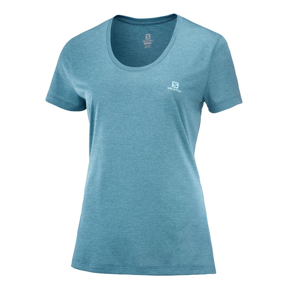 Salomon Agile Ss Tee W Cumin Heather-bronasto Rjava