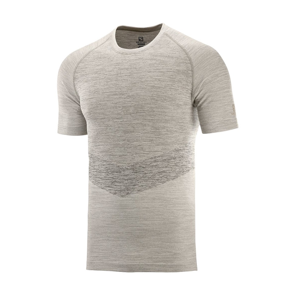 Salomon Allroad Seamless Ss Tee M Rainy Day-heather