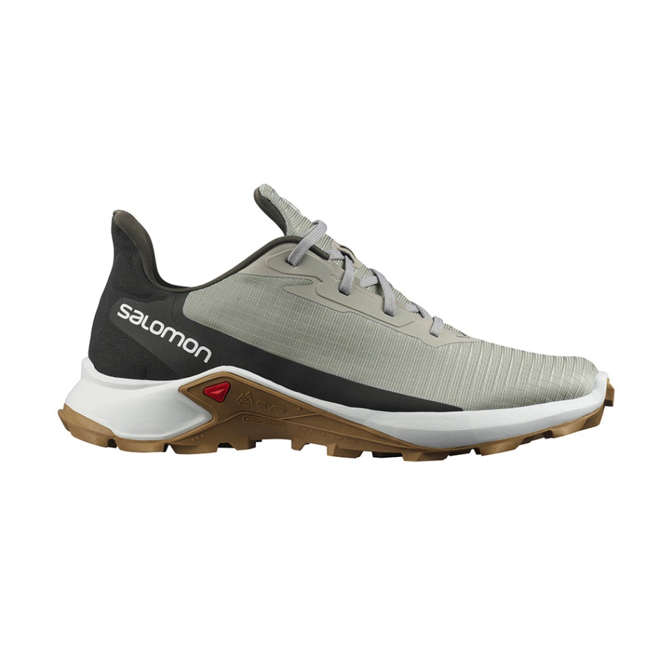 Salomon Alphacross 3 Trail Tekaški čevelj Cumin-rainy Day-bronze Brown