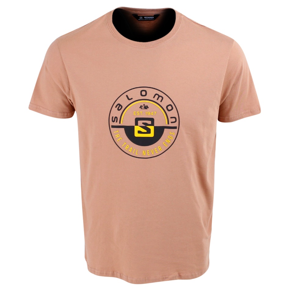 Salomon Boising Ss Tee M Phantom/tawny Brown