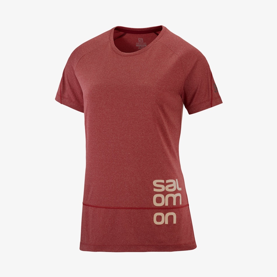 Salomon Cross Run Graphic Tee W Cabernet Heather