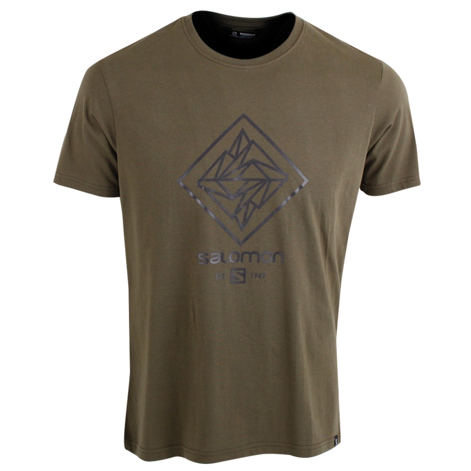 Salomon Inception Ss Tee M Estate Blue/olive Night