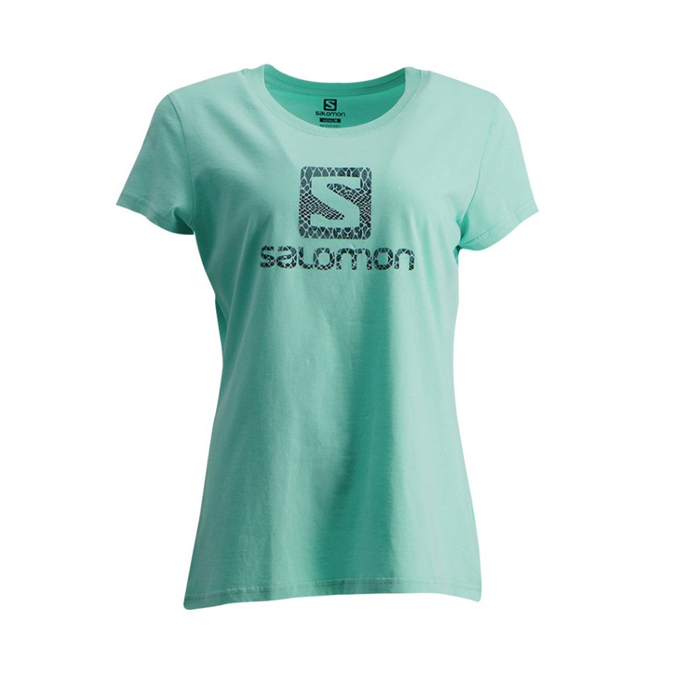 Salomon Ready For It Ss Tee G Koral/mint