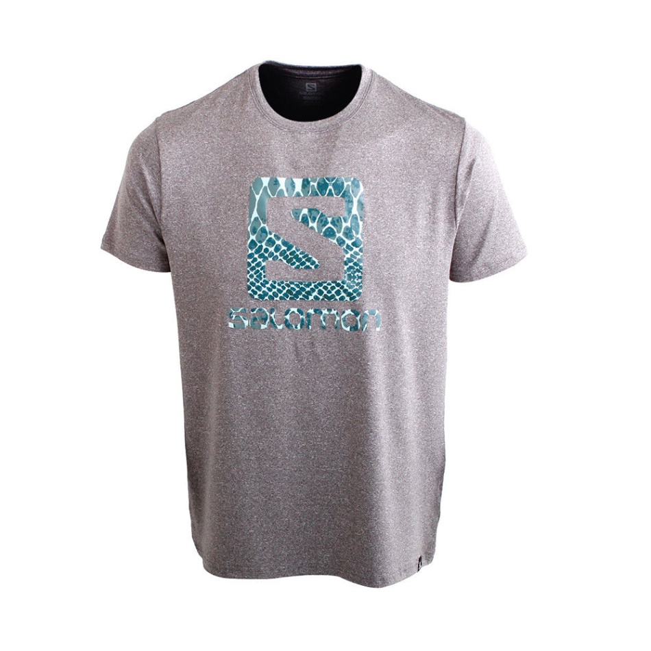 Salomon Ready For It Ss Tee M Grey Melange