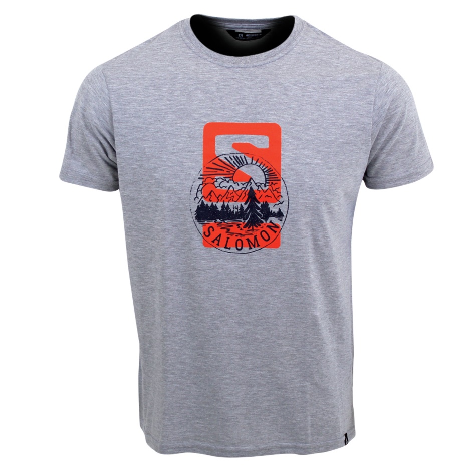 Salomon Stamp Ss Tee M Estate Blue/grey Melange