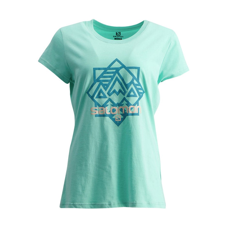 Salomon Tangled Ss Tee W Mint