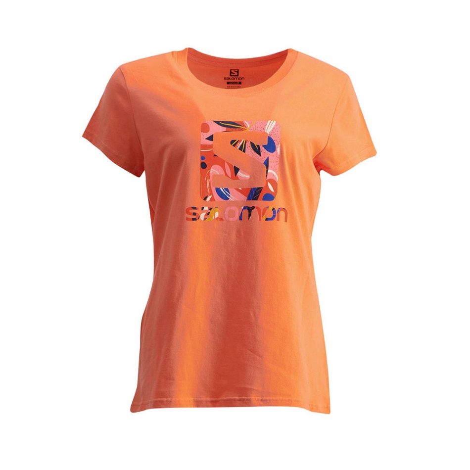 Salomon Tropic Of Sea Ss Tee W Coral