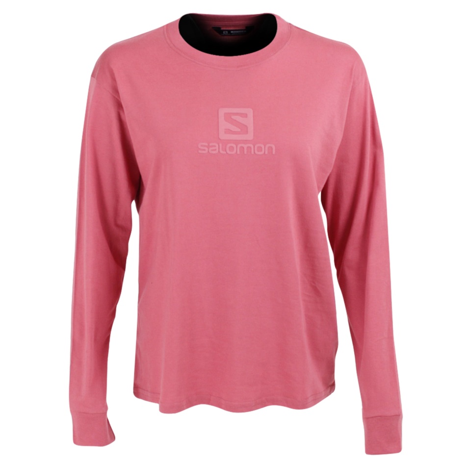 Salomon Valley Rides Ls Tee W Black/mave Wood