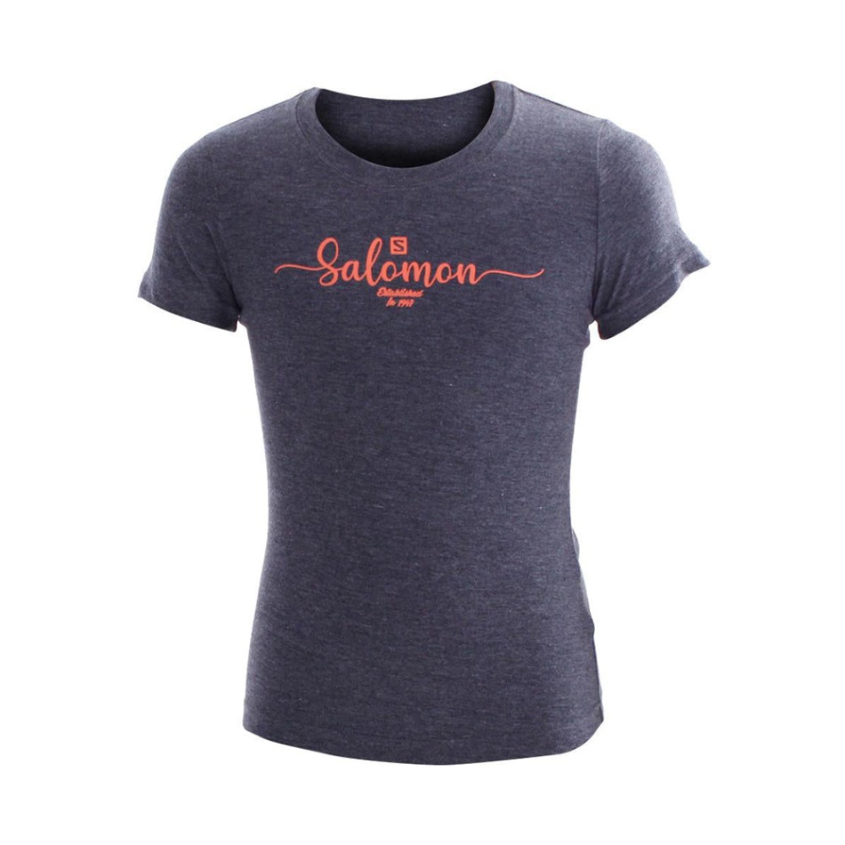 Salomon Vintage Ss Tee G Antracit Melange