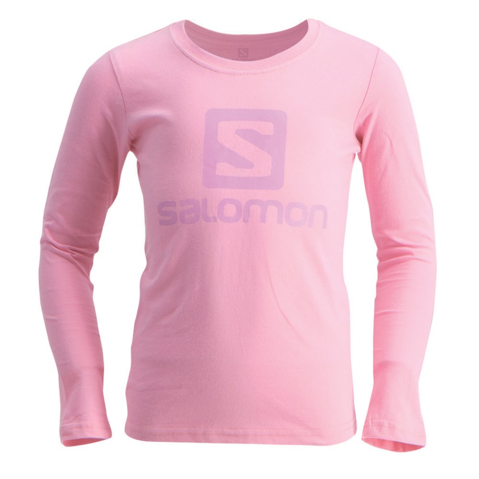 Salomon Warrior Ls Tee G Roza