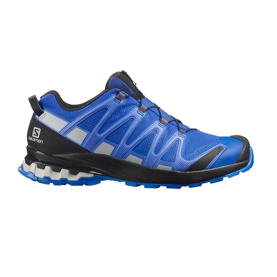 Salomon Xa Pro 3d V8 Gore-tex Pohodni čevelj Turkish Sea-black-pearl Blue