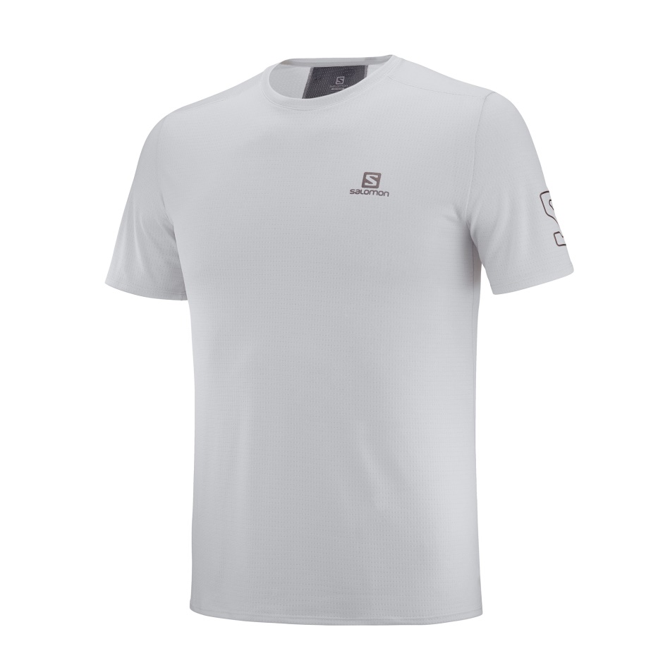 Salomon Xa Trail Tee M Ebenovina/goji Jagode